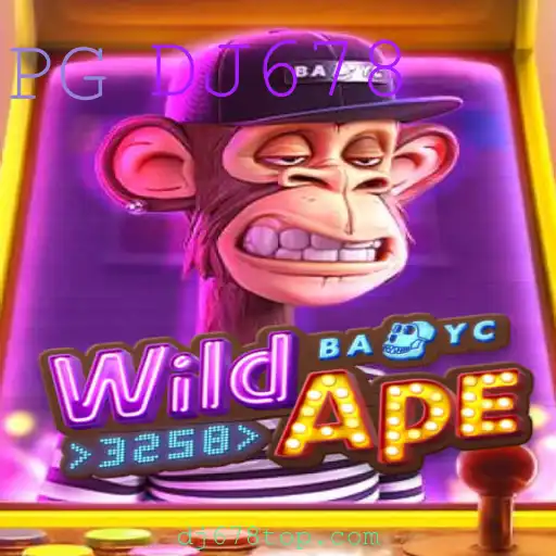 DJ678 Casino App